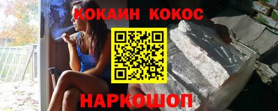 крисы Можга