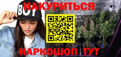 крисы Можга