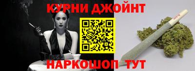 крисы Можга