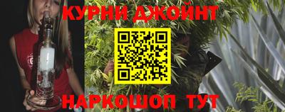 крисы Можга