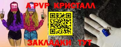 крисы Можга