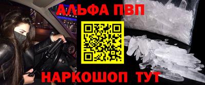 крисы Можга