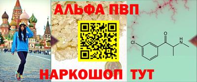 крисы Можга