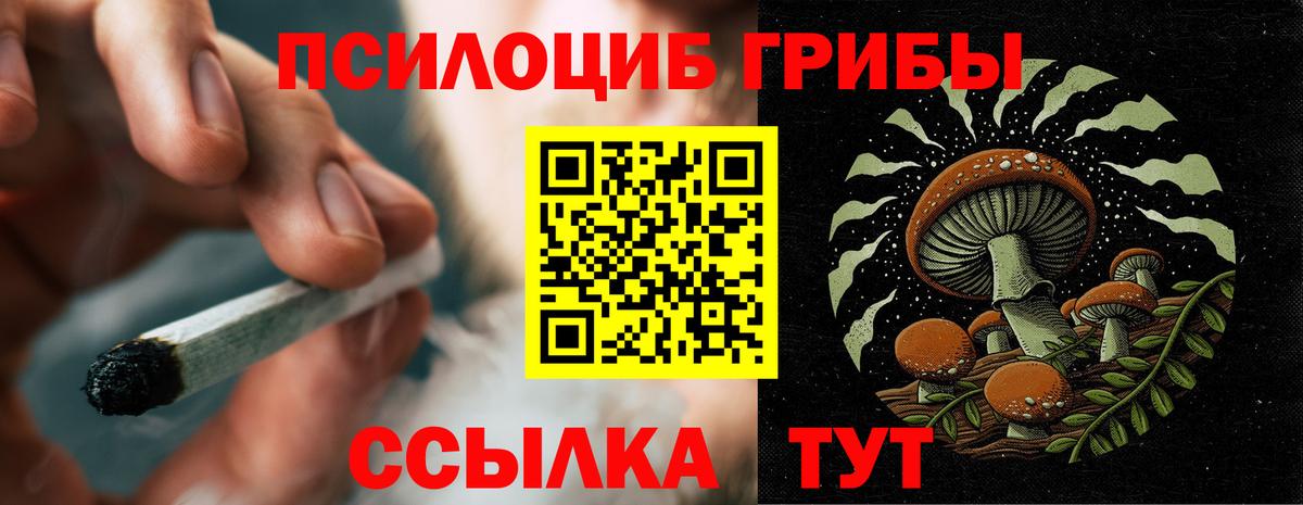 Галлюциногенные грибы Psilocybine cubensis  магазин продажи   Гуково  Вход с VPN 